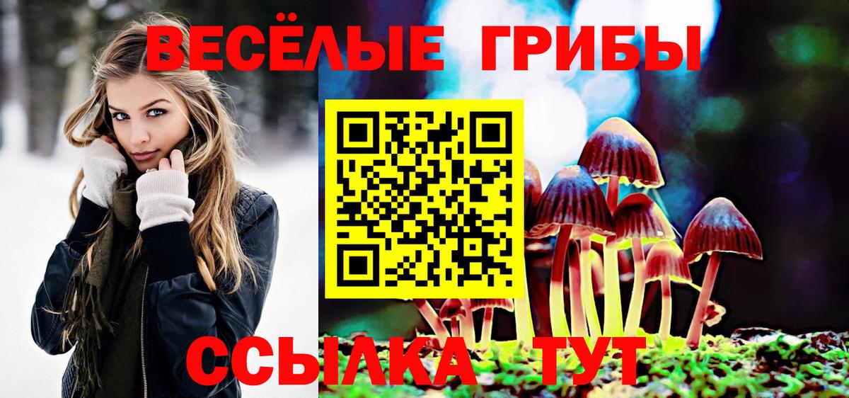 Псилоцибиновые грибы Psilocybe  Вход с VPN  Брянск 